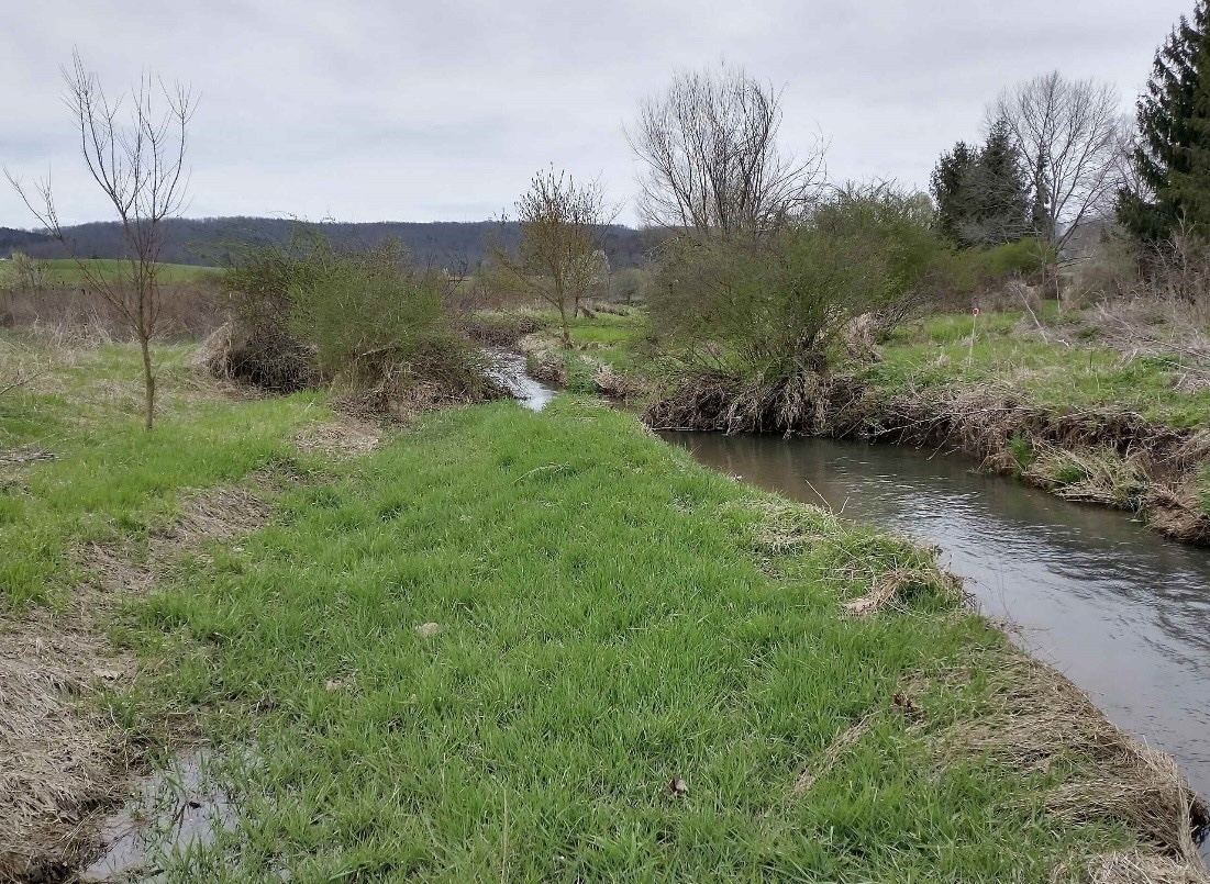 A color photograph of a stream with bare trees, scrubby brush, and green grass on its banks, designated as Treatment 1.